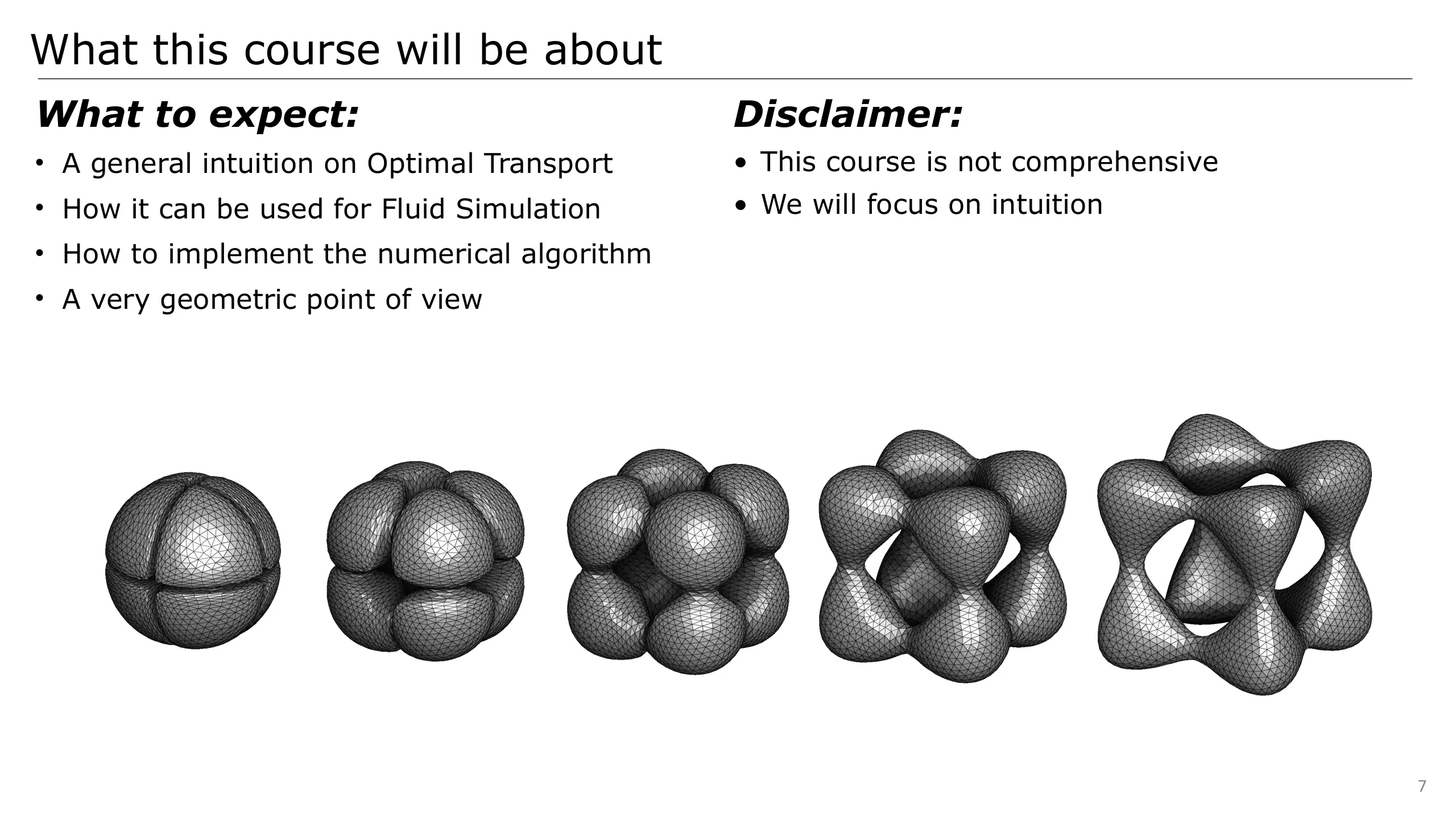 Slide 7