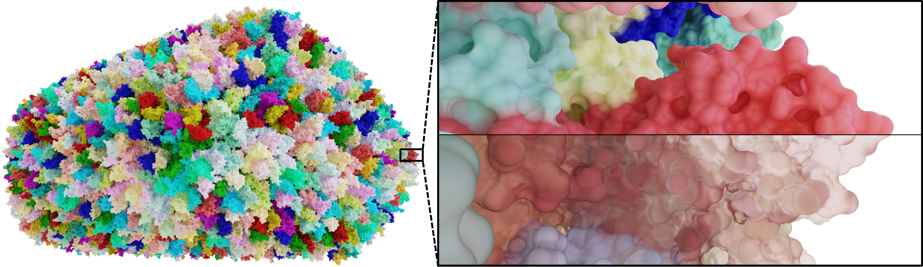 The solvent excluded surface of the complete HIV capsid.